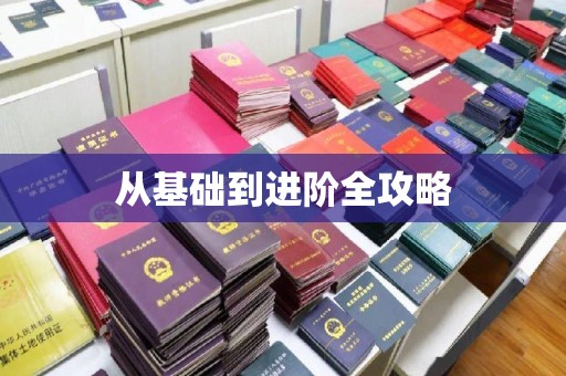 厦门从基础到进阶全攻略