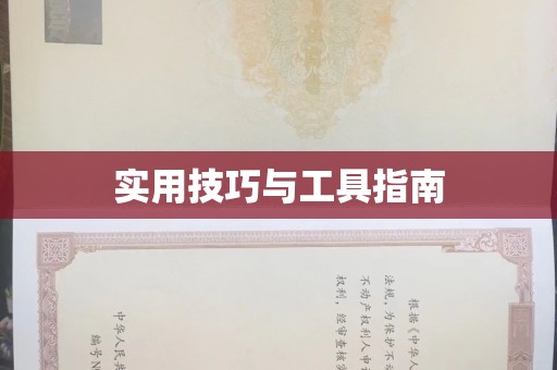 厦门实用技巧与工具指南