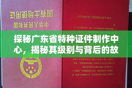 厦门探秘广东省特种证件制作中心，揭秘其级别与背后的故事