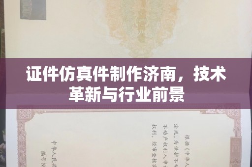 厦门证件仿真件制作济南，技术革新与行业前景