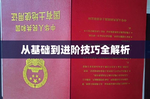 厦门从基础到进阶技巧全解析