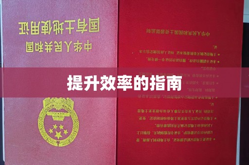 厦门提升效率的指南