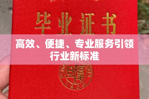 厦门高效、便捷、专业服务引领行业新标准