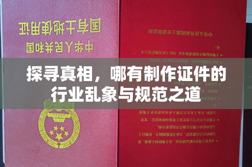 厦门探寻真相，哪有制作证件的行业乱象与规范之道