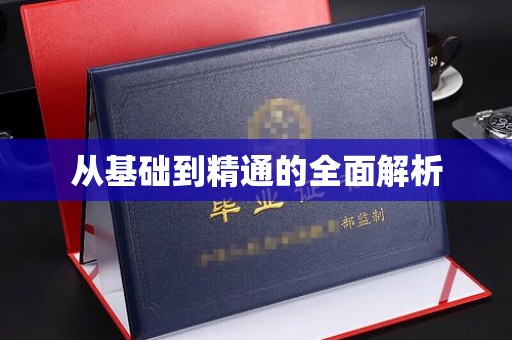 厦门从基础到精通的全面解析