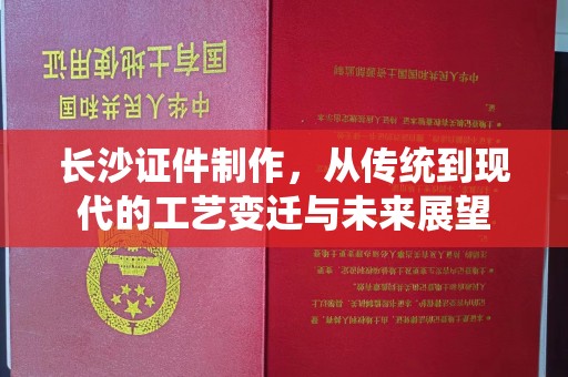 厦门长沙证件制作，从传统到现代的工艺变迁与未来展望