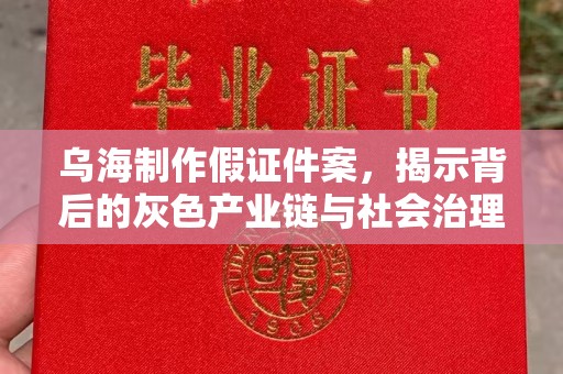 厦门乌海制作假证件案，揭示背后的灰色产业链与社会治理挑战